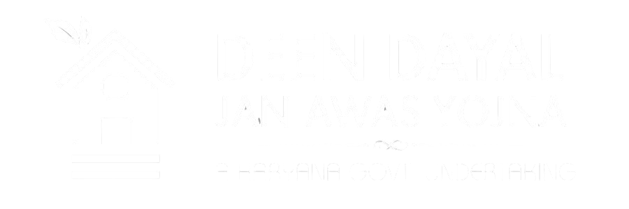 logo ddjay